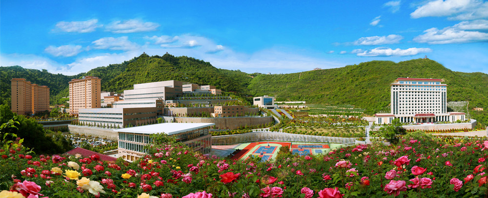 202301121673485884991514.jpg 圖3:三季有花、四季常青的金徽礦區(qū)_副本.jpg