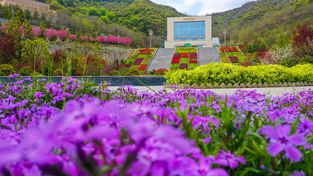 202304151681552682836949.jpg 13.jpg