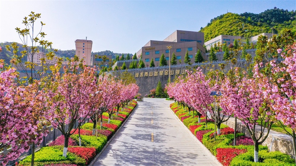 202305131683965281590235.jpg 春2023 (5)-1.jpg