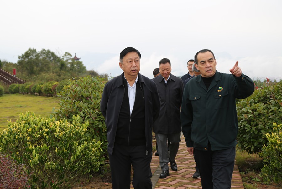 202406261719379699138866.jpg 19-2021年10月,原國土資源部副部長汪民蒞臨公司調(diào)研。.jpg