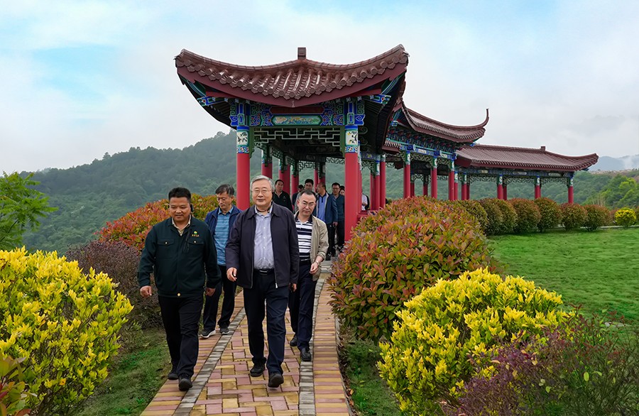 202406261719381374742879.jpg 49-2022年5月,省工信廳副廳長王海峰一行蒞臨金徽股份調(diào)研綠色礦山建設工作。.jpg