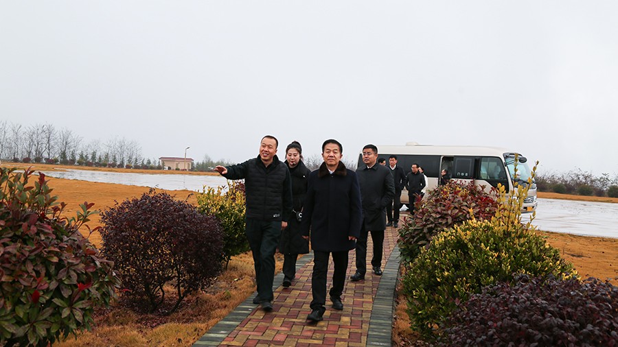 202406261719381804829498.jpg 45-2020年12月,省高級人民法院黨組成員、副院長任建國蒞臨金徽股份調(diào)研知識產(chǎn)權(quán)司法保護工作。.jpg