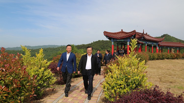 省人民檢察院黨組書記、檢察長朱玉調研金徽股份