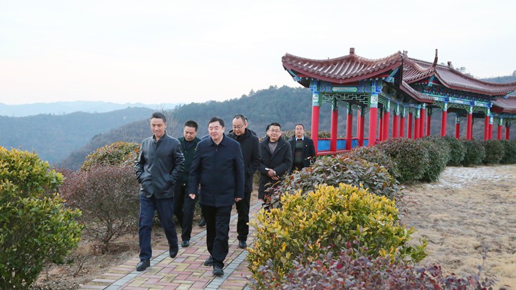 省林草局副局長田葆華蒞臨金徽股份調研林業資源管理及護林防火工作